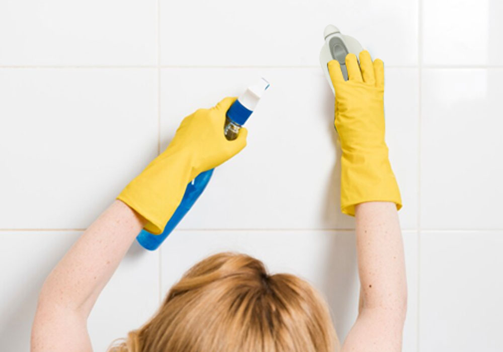 iron brush scrubber
