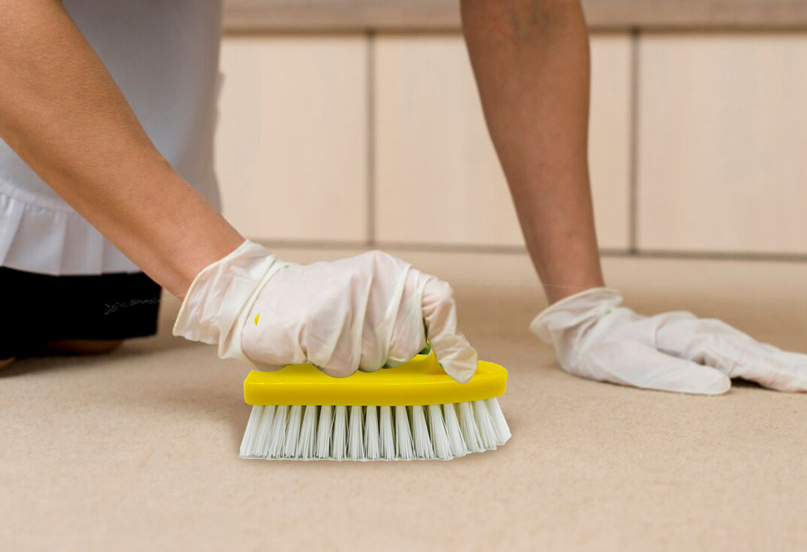iron brush scrubber