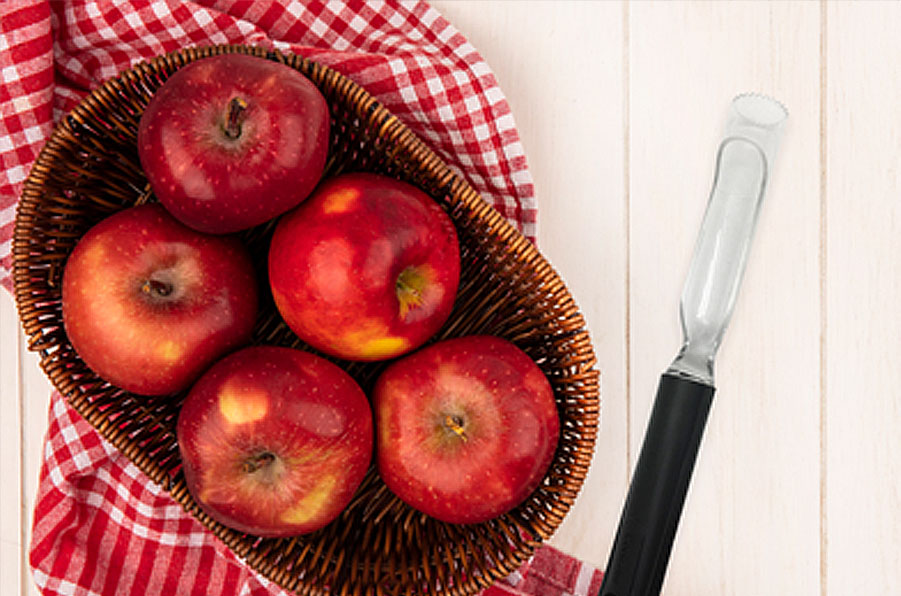 apple corer 18